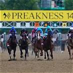 where can i place a bet on the preakness